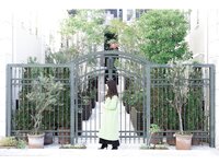 [Digital Sugar] No. 001 Misaki Kimura 木村美咲 - Misakiiro みさきいろ