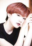 [Photobook] 永野芽郁 No cambia 写真集 Special Book