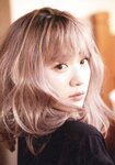 [Photobook] 永野芽郁 No cambia 写真集 Special Book