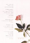 [Photobook] 三上悠亜 スタイルブック Miss