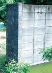 [Photobook] 染谷有香ヌード写真集「赤いアルバム 2015-2025」(2026.02.12)