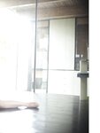 [Photobook] 蓬莱舞 夢まぼろし ENTAMEデジタルフォトブック