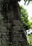 [Photobook] 若月佑美 履きなれない靴を履き潰すまで