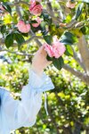 [Photobook] 白上咲花写真集「百花繚乱」