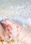 [Photobook] 2026.03.09 田中美久写真集 「ぜんぶ、ほんと」