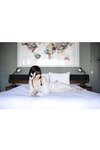 [Photobook] 小日向結衣『day dream』