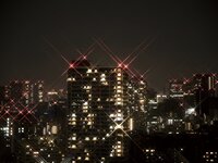 [Photobook] 愛月セリア オフィシャルヌード写真集『愛に溺れる-熱情のセリア-』