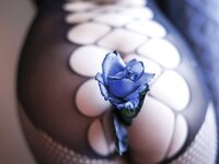 [Photobook] 愛月セリア オフィシャルヌード写真集『愛に溺れる-熱情のセリア-』