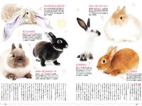 [Weekly Playboy] 2023 No.03-04 (雪平莉左 志田音々 村島未悠 くろがねさら 小島瑠璃子 戸田ころね 宇都宮未来 他)