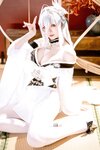 [Cosplay] 星之迟迟 2026年01月计划D 碧蓝航线 白凤 [59P-453MB]