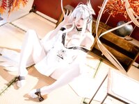 [Cosplay] 星之迟迟 2026年01月计划D 碧蓝航线 白凤 [59P-453MB]