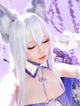 [Cosplay] 星之迟迟 2025年12月计划F 碧蓝航线 信浓 [60P-417MB]