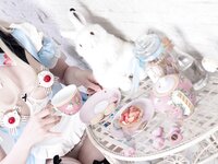 [Cosplay] Candy Ball Alice in Easterland [58P-208MB]