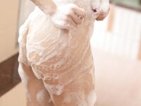 週刊現代デジタル写真集 冨安れおな 隣のお姉さん 覗き見 銭湯