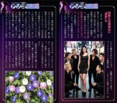 週刊AG 2026.03.04 長浜みつり 涼森れむ 楪カレン 戸塚こはる 天音鈴菜
