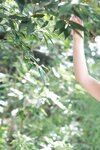 FRIDAYデジタル写真集 白川のぞみ 白蜜桃 vol.1