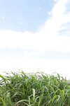 FRIDAYデジタル写真集 白川のぞみ 白蜜桃 vol.2