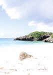 [Photobook] 逢沢みゆ写真集 me=you