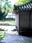 [Photobook]【電子版だけの特典カットつき】紫堂るい写真集 白雨