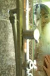 FRIDAYデジタル写真集 miru ミルミル元気 vol.2 オール未公開完全版