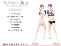 [Photobook] 絶対的プロレス技ポーズブック 波多野結衣 大槻ひびき