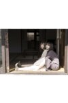 [Photobook] 小日向結衣 x 望月彩未 デジタル写真集『ふたり暮らし』