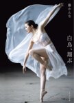 アサ芸SEXY女優写真集 藤かんな 白鳥、翔ぶ