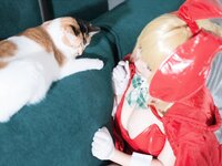 [Cosplay] 阿半今天很开心 FGO 尼禄圣诞节 [71P-579MB]
