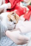 [Cosplay] 阿半今天很开心 FGO 尼禄圣诞节 [71P-579MB]