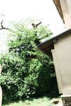 FLASHデジタル写真集 矢野ななか All about summer