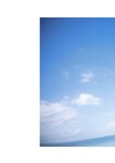 [Photobook] 八蜜凛写真集 バイオレンスハニー