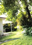[Photobook] 八蜜凛写真集 バイオレンスハニー