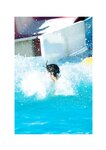 [Photobook] 2026.03.04 森嶋あんり 1st写真集 あんちゅ