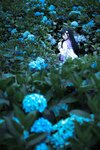 [Cosplay] G44不会受伤 散华礼弥 [20P-163MB]