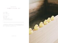 Exciting Girls 花咲楓香 デジタル写真集 vol.2