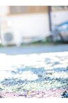 [Photobook] 週刊ポストデジタル写真集 真島なおみ 愛しくてジェラシー