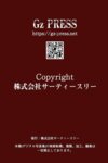 [Photobook] Gz PRESS デジタル写真集 No.737 入間ゆい ビキニ
