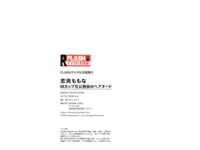 FLASHデジタル写真集R 恋渕ももな Mカップ元公務員のヘアヌード