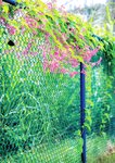 [Photobook] 桃乃木かな「.(Period)」