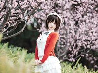 [Cosplay] Bangni邦尼 - 春日游