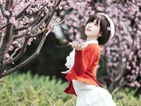 [Cosplay] Bangni邦尼 - 春日游