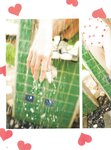 [Photobook] 渡辺美優紀 ファーストスタイルブック MILKY