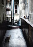 [Photobook] つばさ舞写真集 illume