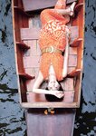 [Photobook] つばさ舞写真集 illume
