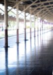 [Photobook] つばさ舞写真集 illume