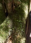 [Photobook] ワニブックス デジタル写真集 出口亜梨沙「fantastic」