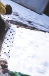 [Photobook] Ayuri Konno - AYURI watermarked