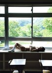 [Photobook] ゼロイチ学園 シーズン2