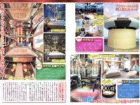 週刊実話 2026.04.16 No.3455 美乃すずめ 浅野こころ 新妻ゆうか 藤川乃風 青空ひかり 美咲かんな 美乃すずめ 桜ゆの ちとせよしの 藤井マリー
