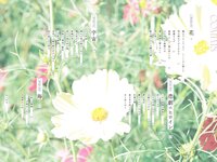 [Photobook] 鶴嶋乃愛 1stフォトエッセイ 微睡む花の様に